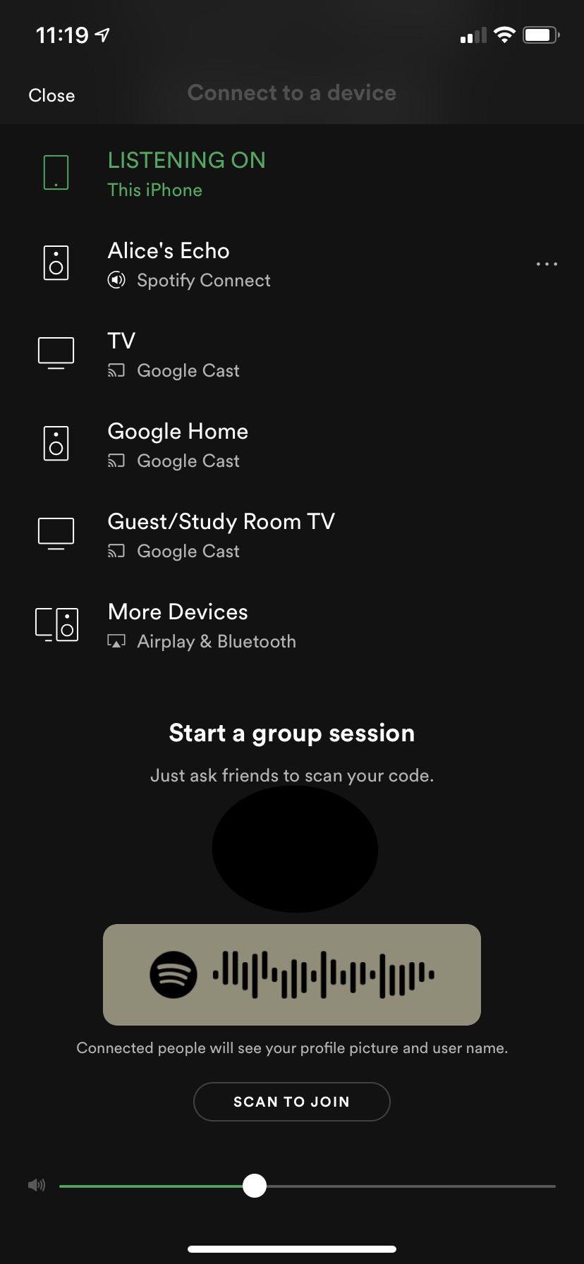 Iphone screenshot Spotify group session